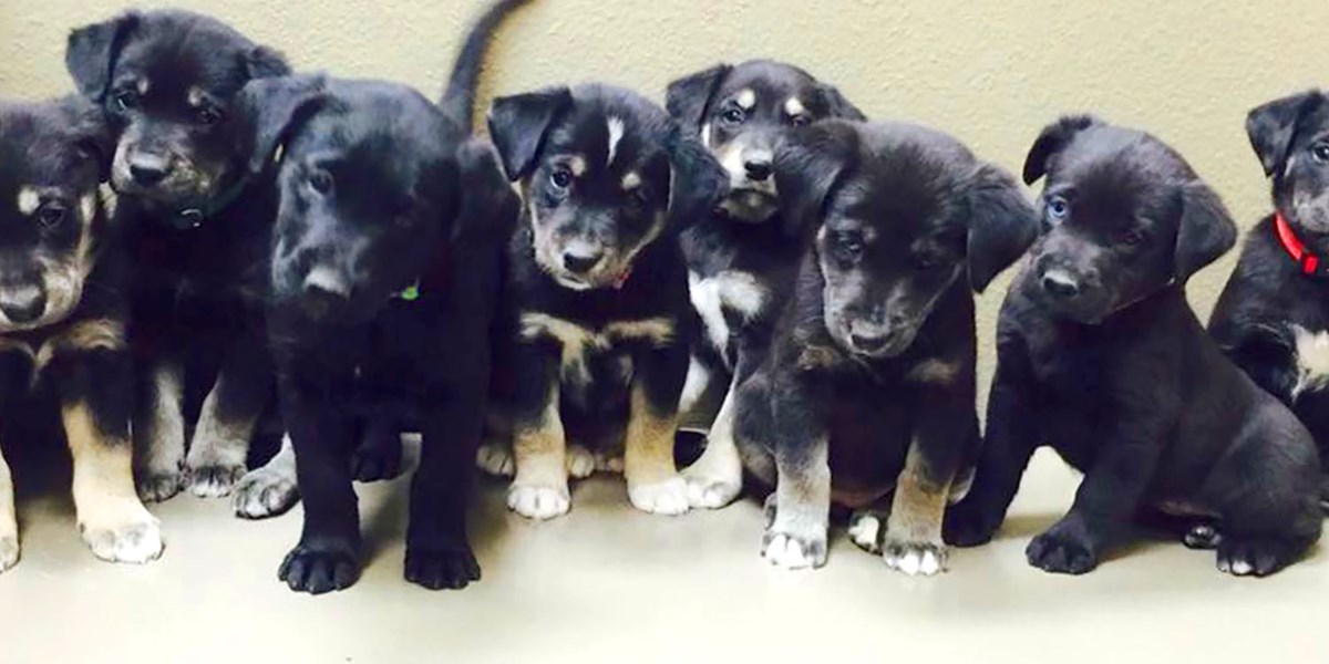 Wharton County SPOT | Wharton, TX | Contact Wharton County SPOT | Wharton, TX | Contact